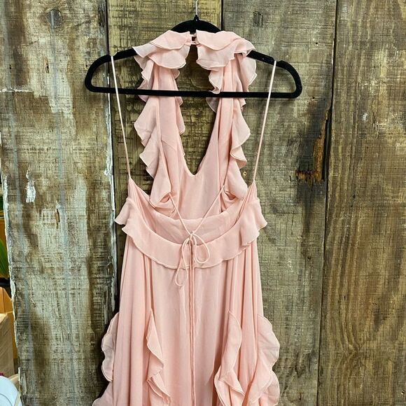 Sau Lee Fiona Dress Baby Pink Ruffle Maxi chiffon gown wedding prom Revolve 4 - Picture 10 of 12